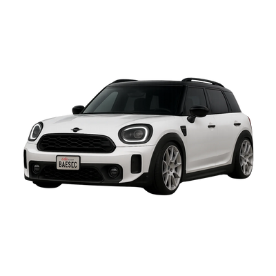 Countryman U25 